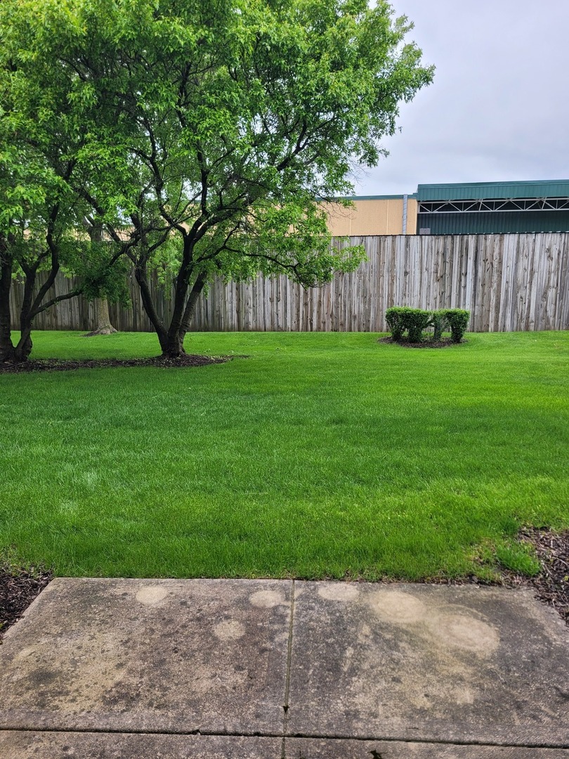 347 Mill Street Batavia, IL 60510 - Photo 11 of 21