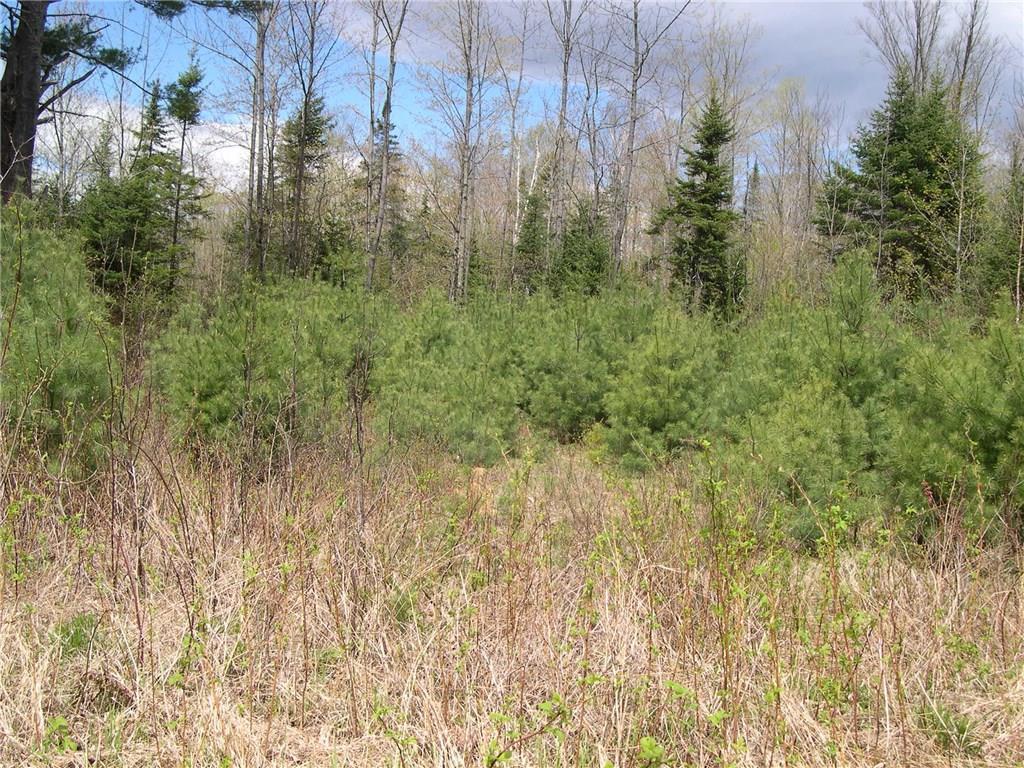 49 Dill Road Phillips, ME 04966 - Photo 27 of 30 land along road