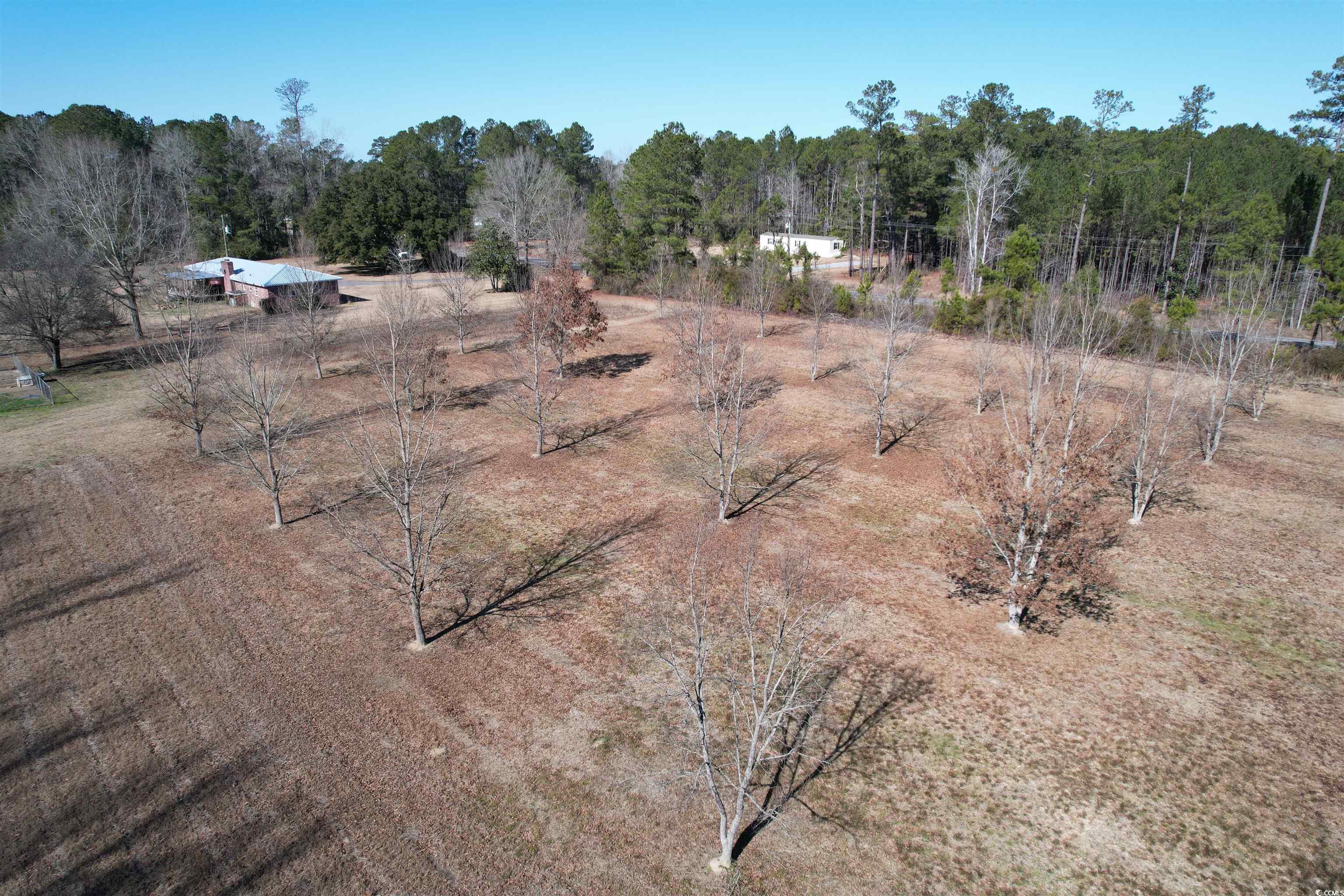 4575 Saints Delight Road Georgetown, SC 29440 - Photo 28 of 32