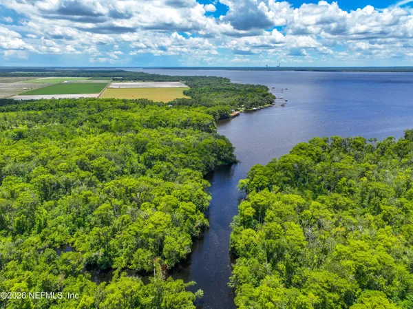 a view of a garden with an outdoor space