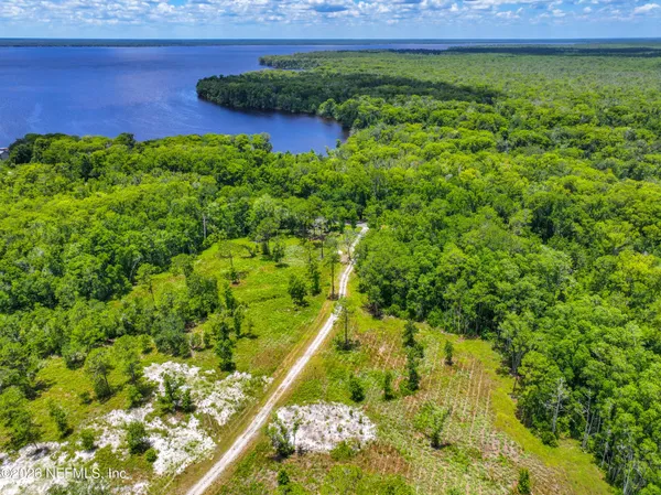 a view of a garden with an outdoor space