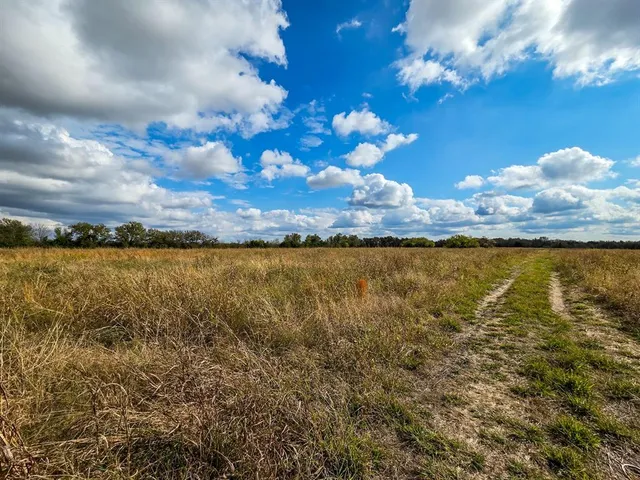 a view of a statue in middle of the green field