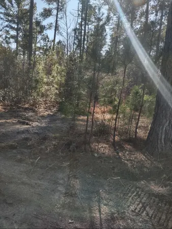 $25,000 | 71 Breanna Court, Cottageville, SC 29435