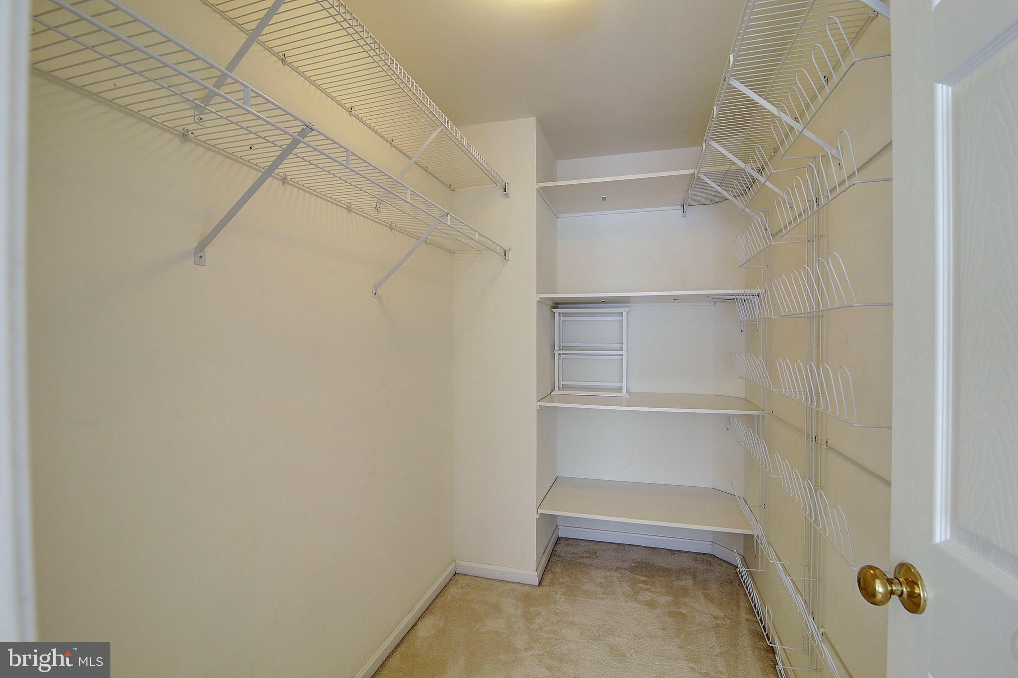 2451 Arctic Fox Way Reston, VA 20191 - Photo 25 of 40 Master walk in closet