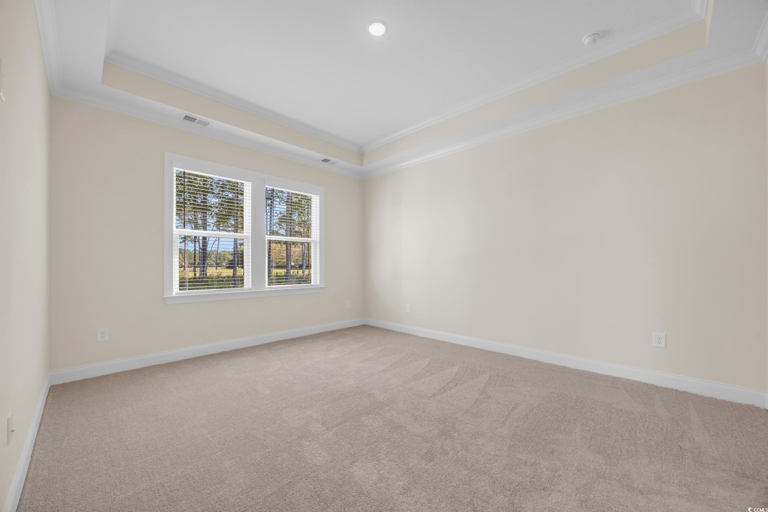 546 Beckham Court Murrells Inlet, SC 29576 - Photo 19 of 34 Carpeted empty room with a raised ceiling and crow