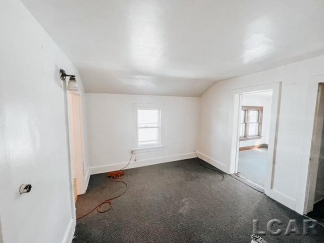 206 East Front Street Adrian, MI 49221 - Photo 6 of 6