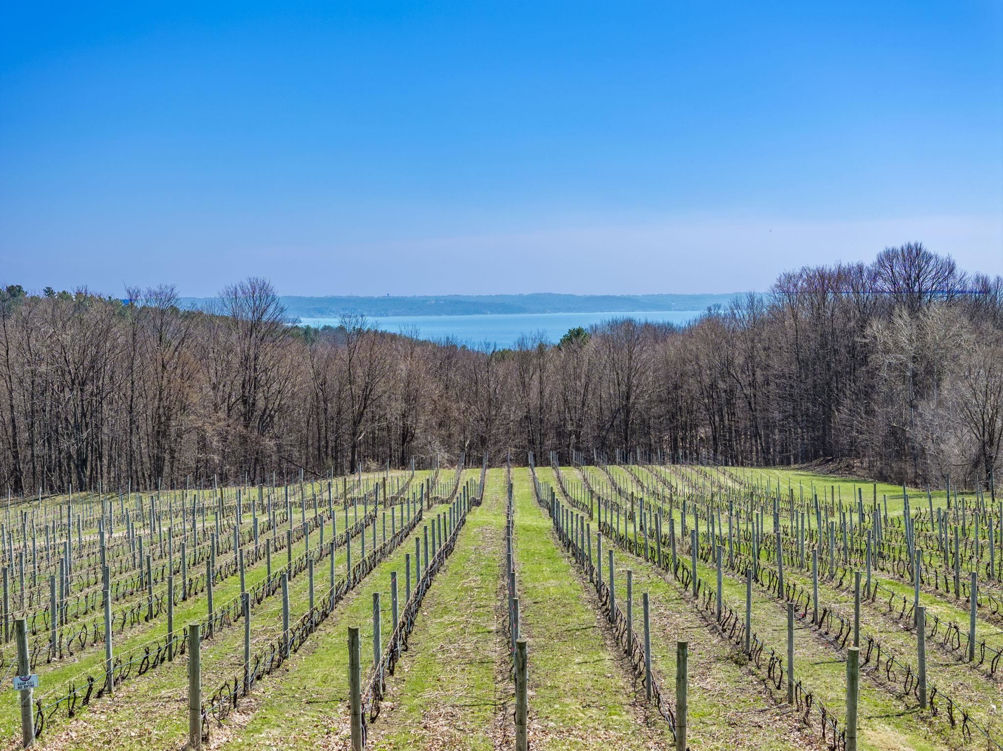 2770 Nelson Road Traverse City, MI 49686 - Photo 7 of 80