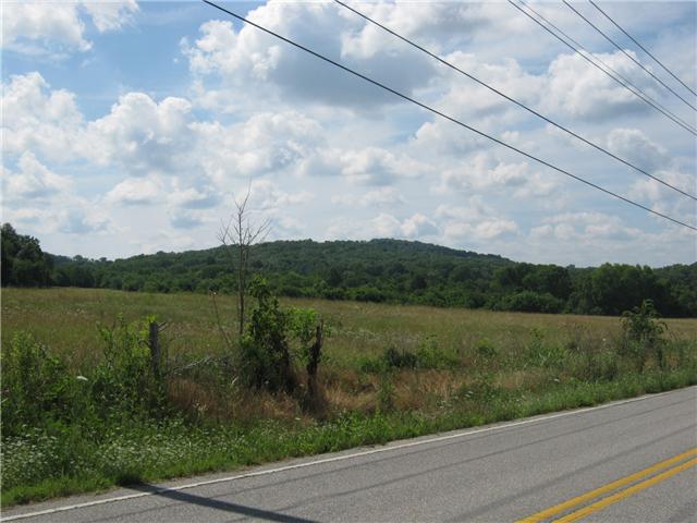 3 Hamilton Road Lebanon, TN 37087 - Photo 4 of 10 Open farm land located across the street.