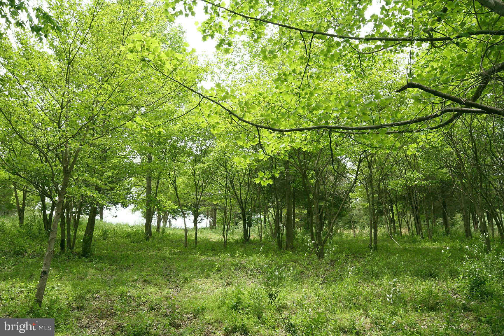 8191 Peters Road Frederick, MD 21704 - Photo 11 of 21 Lot 3 Scenery