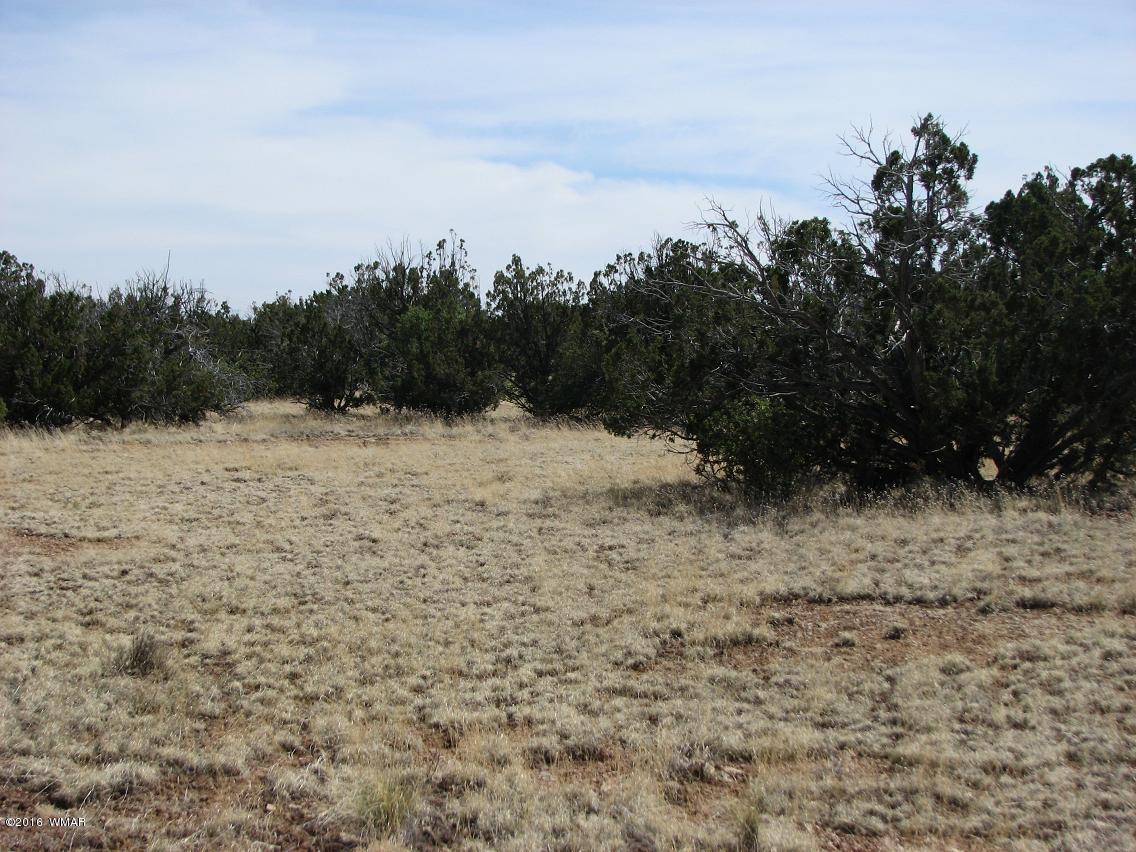 7 Chevelon Retreat T14n R17e;se4 Heber, AZ 85928 - Photo 1 of 5