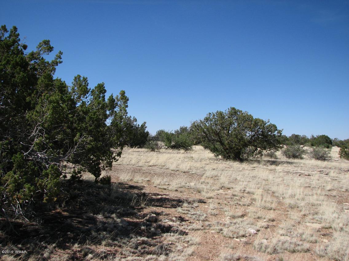 7 Chevelon Retreat T14n R17e;se4 Heber, AZ 85928 - Photo 2 of 5