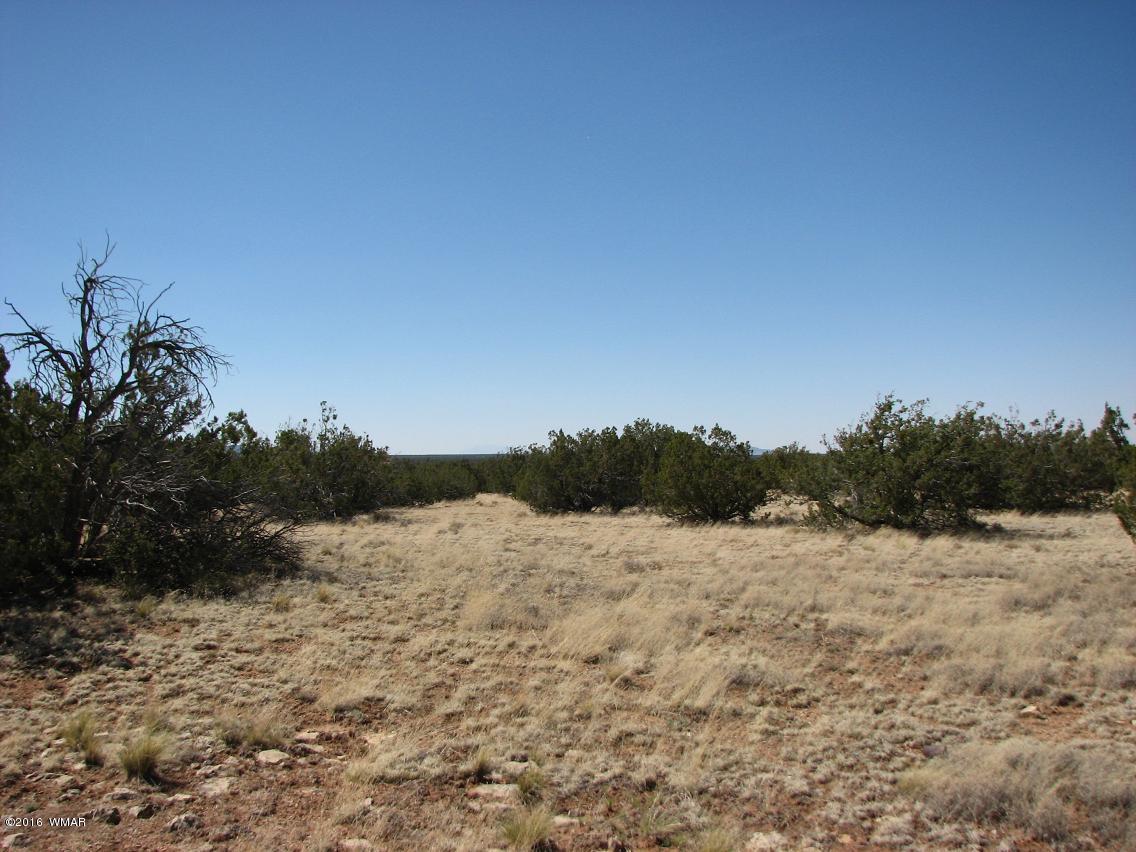 7 Chevelon Retreat T14n R17e;se4 Heber, AZ 85928 - Photo 3 of 5