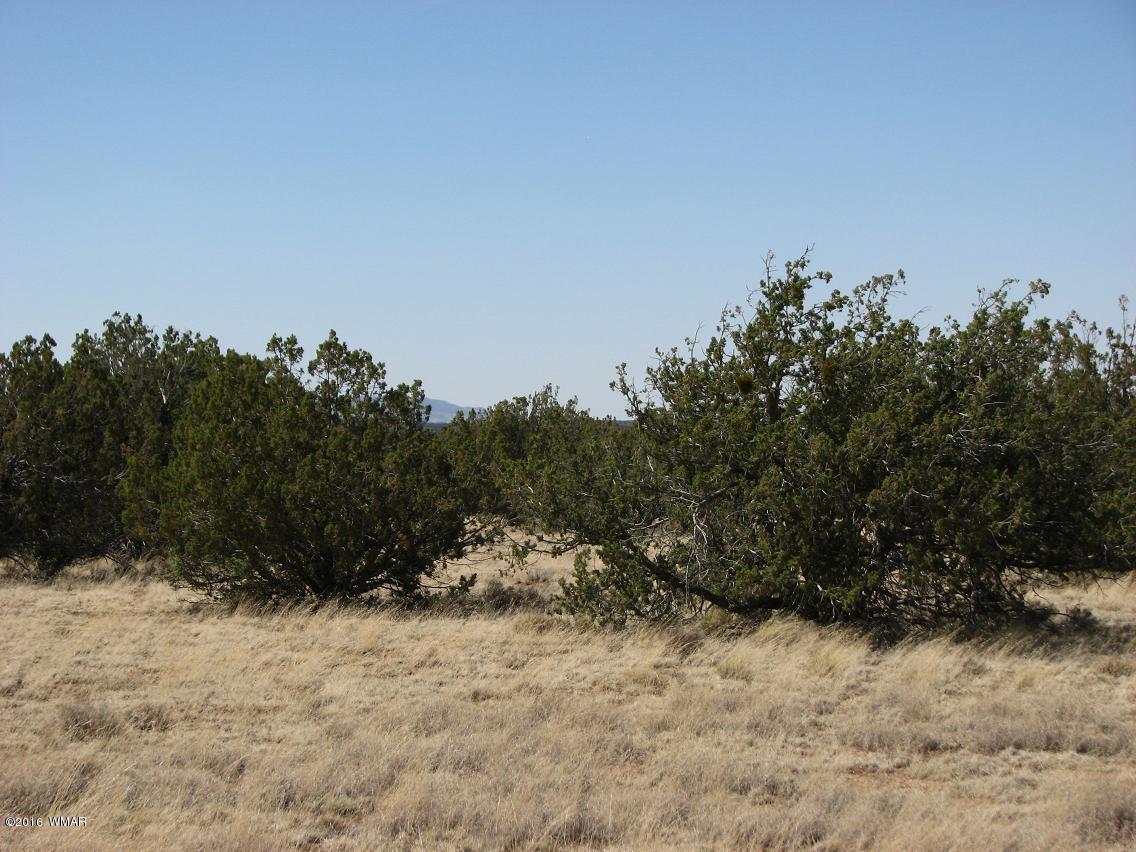 7 Chevelon Retreat T14n R17e;se4 Heber, AZ 85928 - Photo 4 of 5