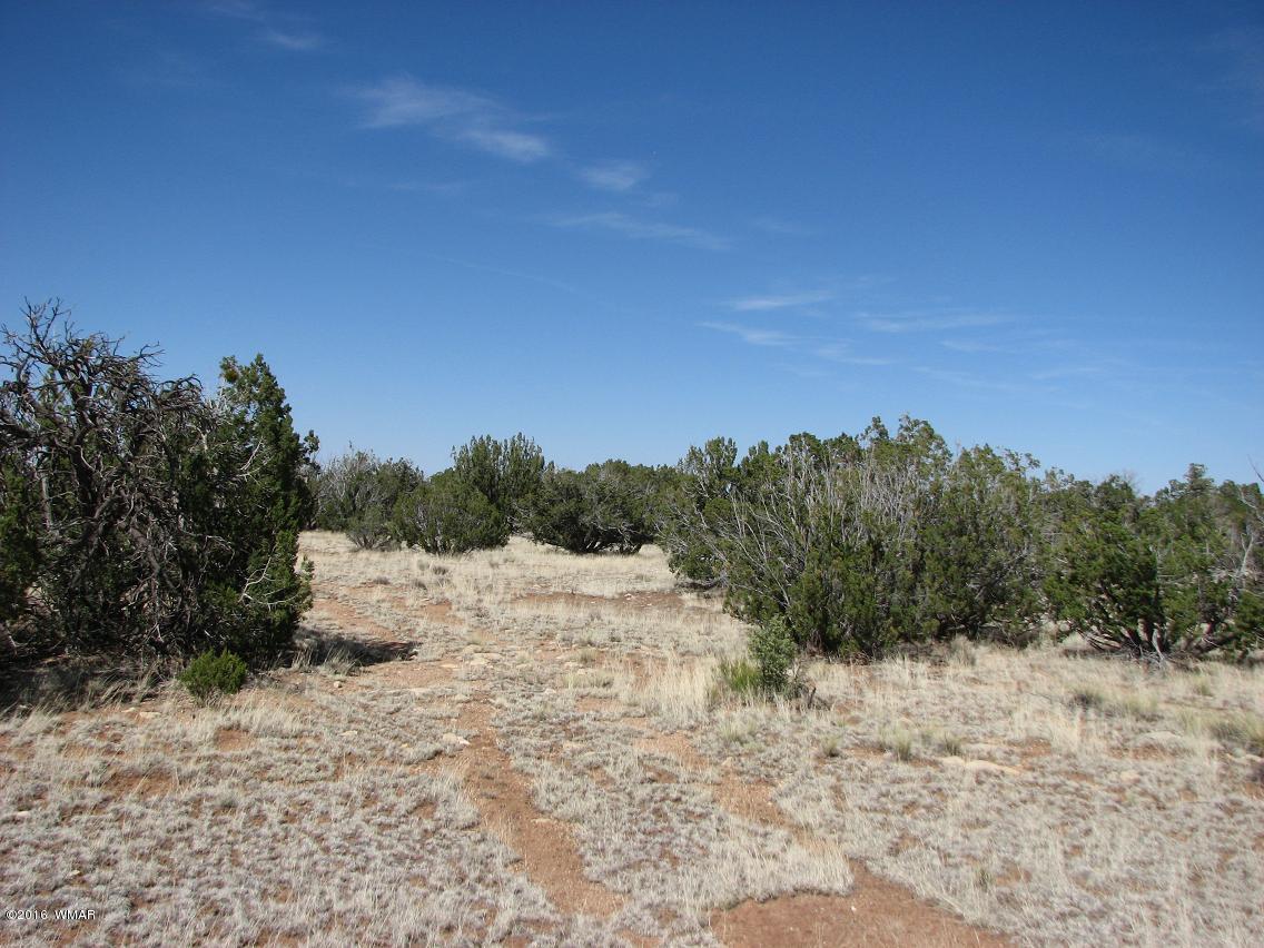 7 Chevelon Retreat T14n R17e;se4 Heber, AZ 85928 - Photo 5 of 5