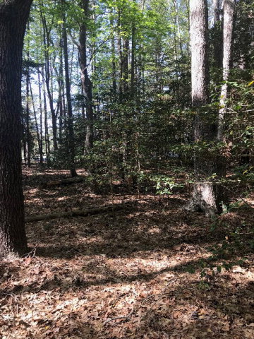 0 Old Neck Road, Unit 8 Exmore, VA 23350 - Photo 12 of 17