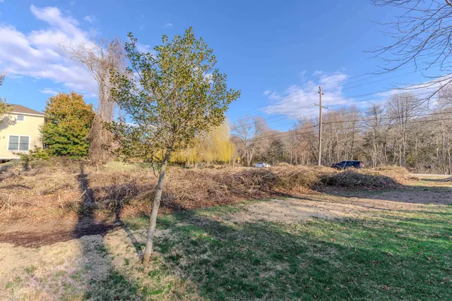 a view of a field with a tree