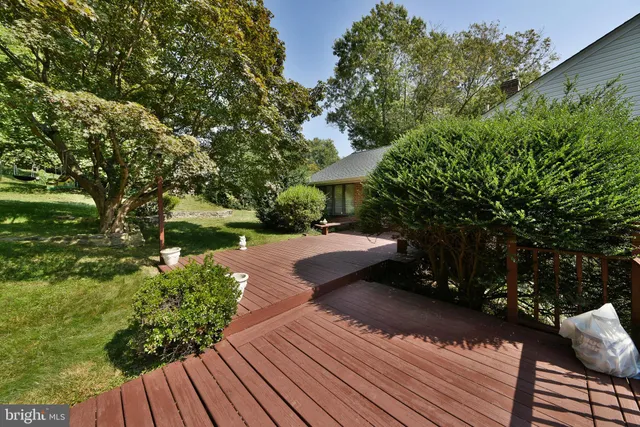 a view of a park with a tree