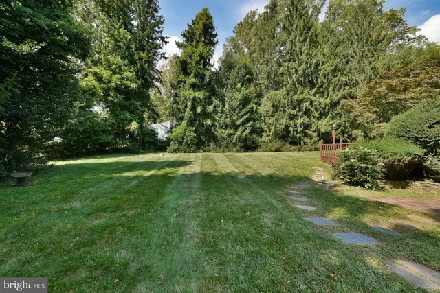 a view of backyard with plants and outdoor seating