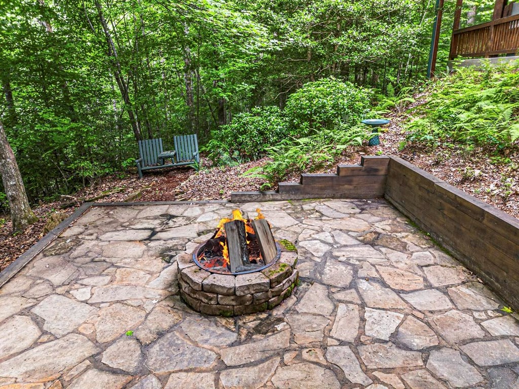 115 Lakota Trail Blue Ridge, GA 30513 - Photo 44 of 49 a view of a backyard with plants and a patio