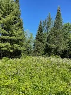 $174,500 | 51 U.S. Highway 51, Unit CA143 CA144, Harshaw, WI 54529