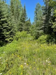 $174,500 | 51 U.S. Highway 51, Unit CA143 CA144, Harshaw, WI 54529