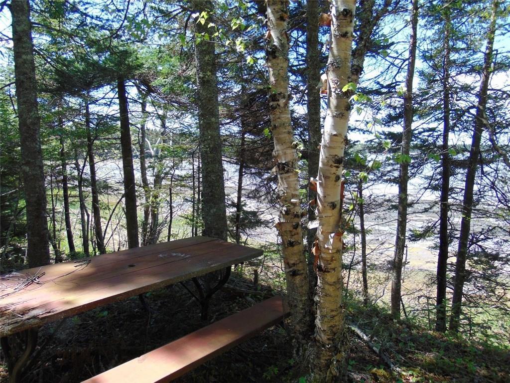 0 Ripley Point Road Harrington, ME 04643 - Photo 26 of 34 Photo