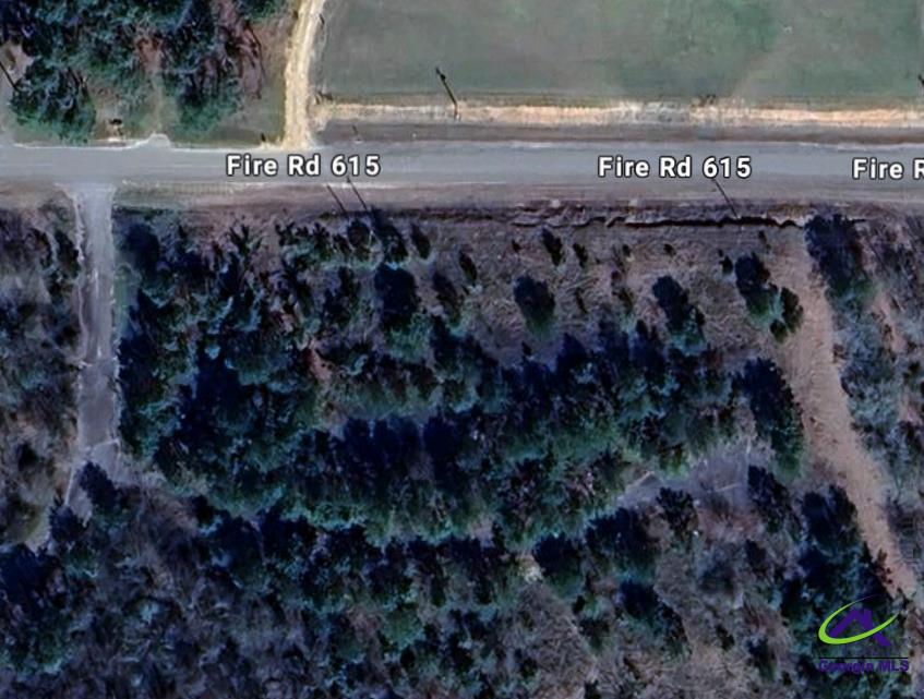 0 Benny Sharp Road Hawkinsville, GA 31036 - Photo 6 of 6