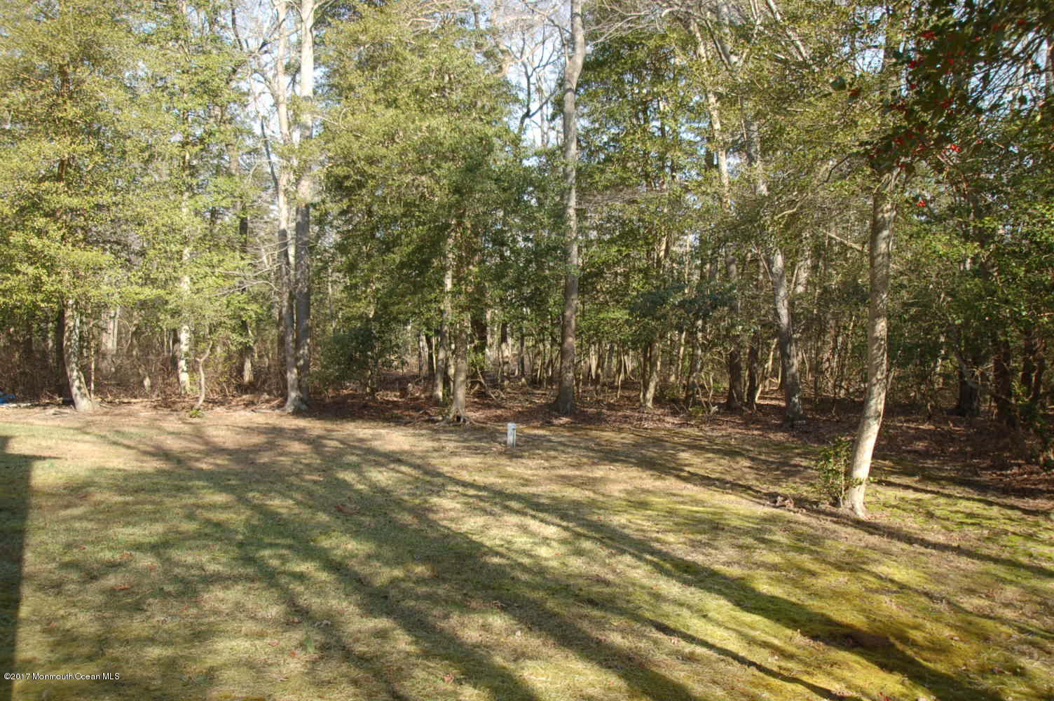 117 Sloop Creek Road Bayville, NJ 08721 - Photo 29 of 35 DSC_0137
