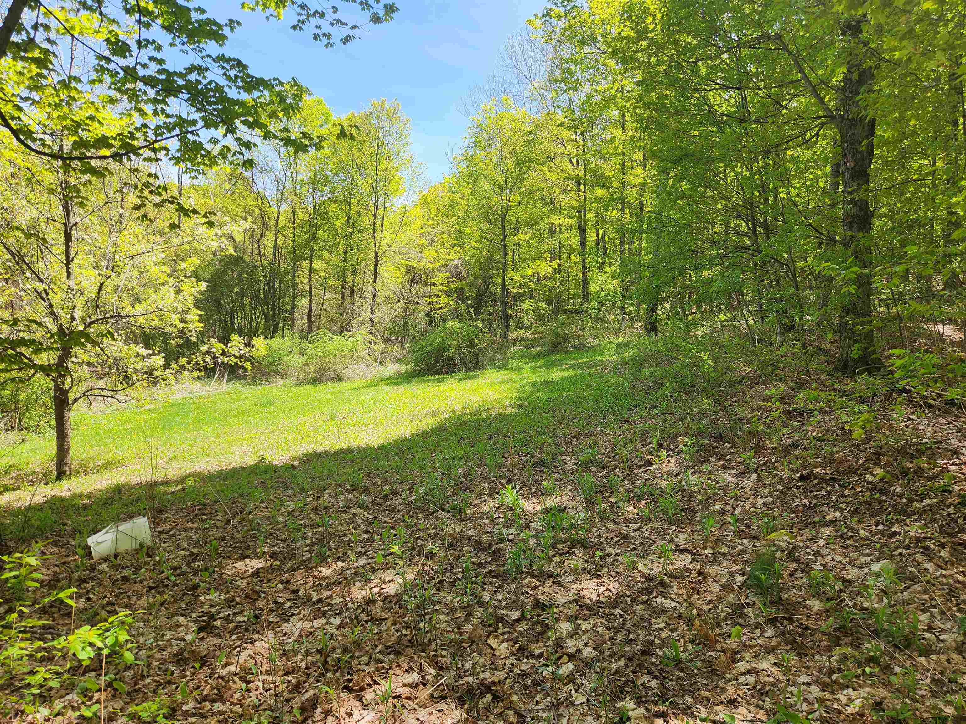 3517 Colvin Hill Road Danby, VT 05739 - Photo 15 of 25