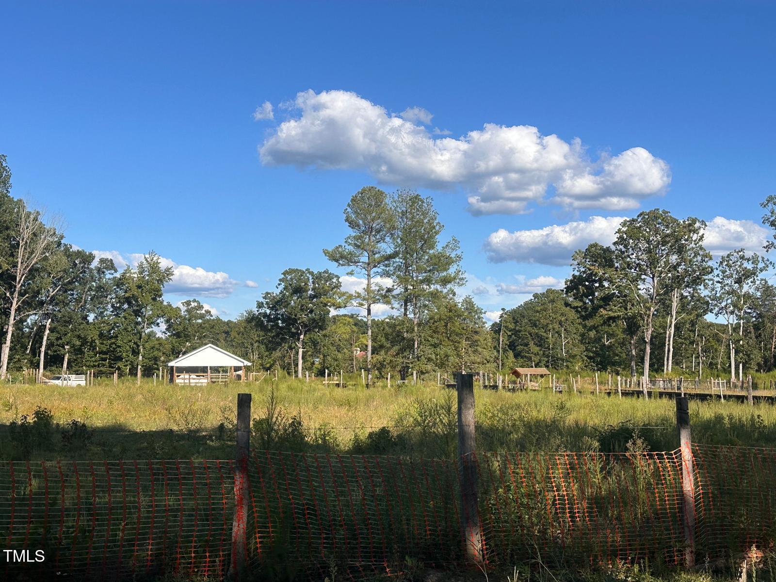 280 Chambers Road Rougemont, NC 27572 - Photo 12 of 26 bc2b6d28-787d-4121-b966-0dbb01b1db17