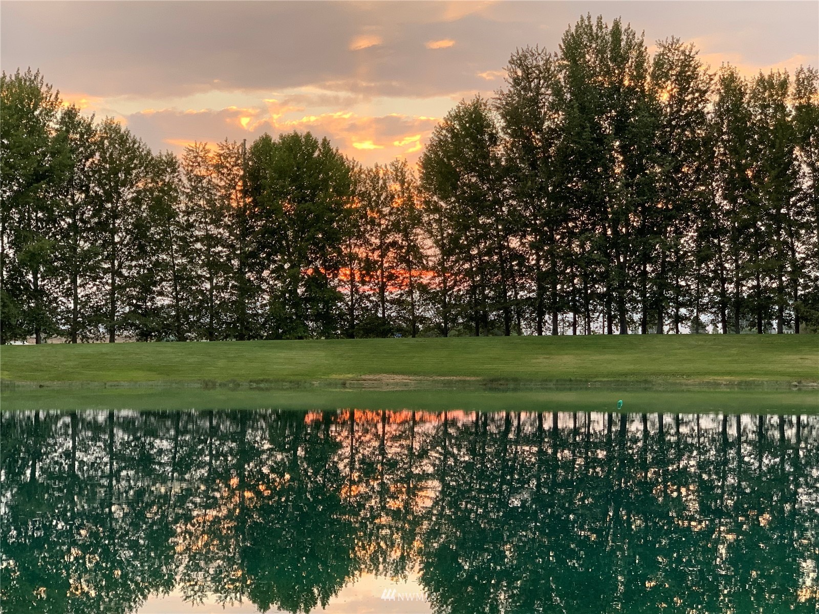 a view of a golf course with a lake