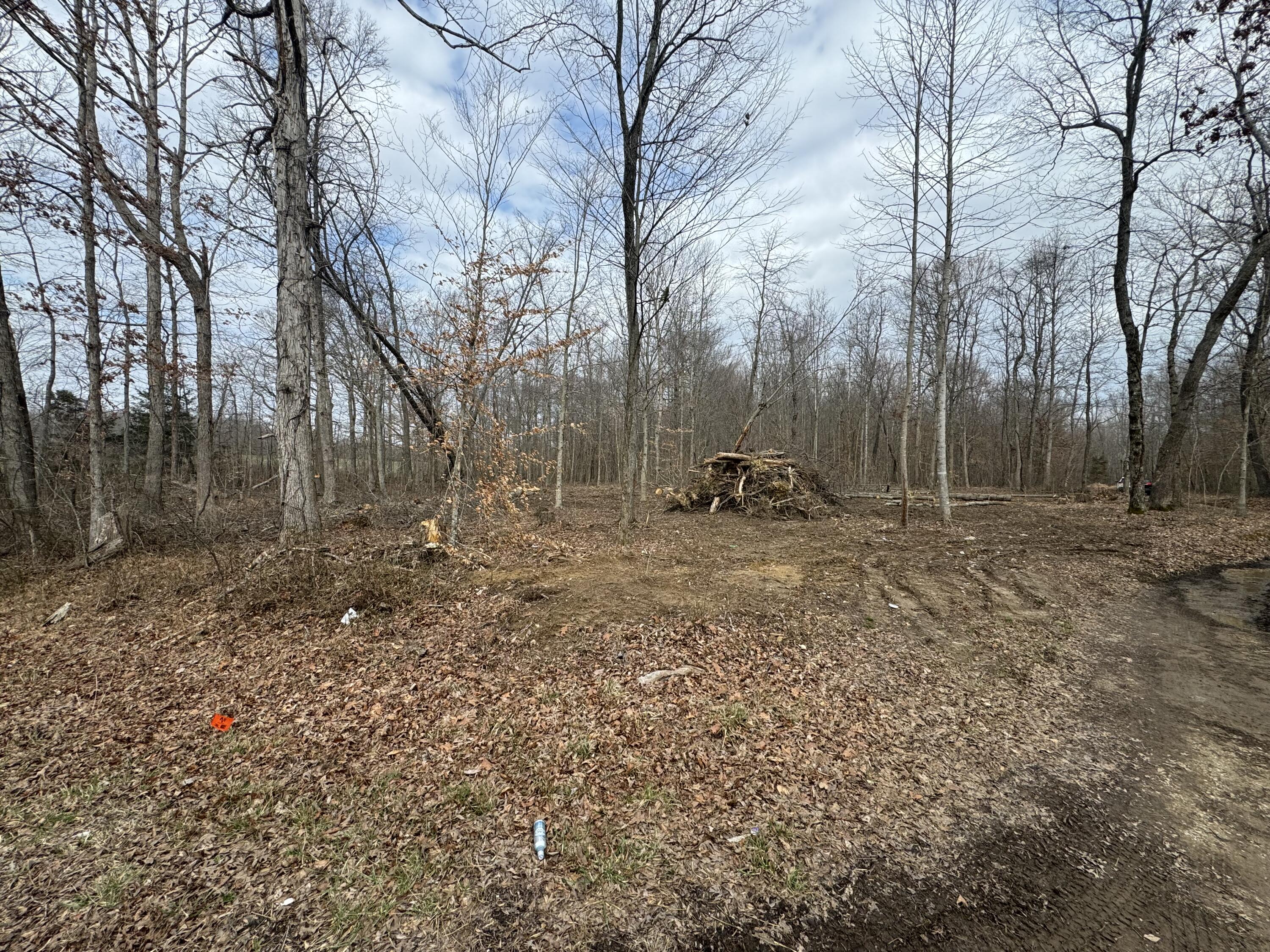 0 Dug Hill Road, Unit TRACT 13 Brodhead, KY 40409 - Photo 12 of 12 IMG_3228