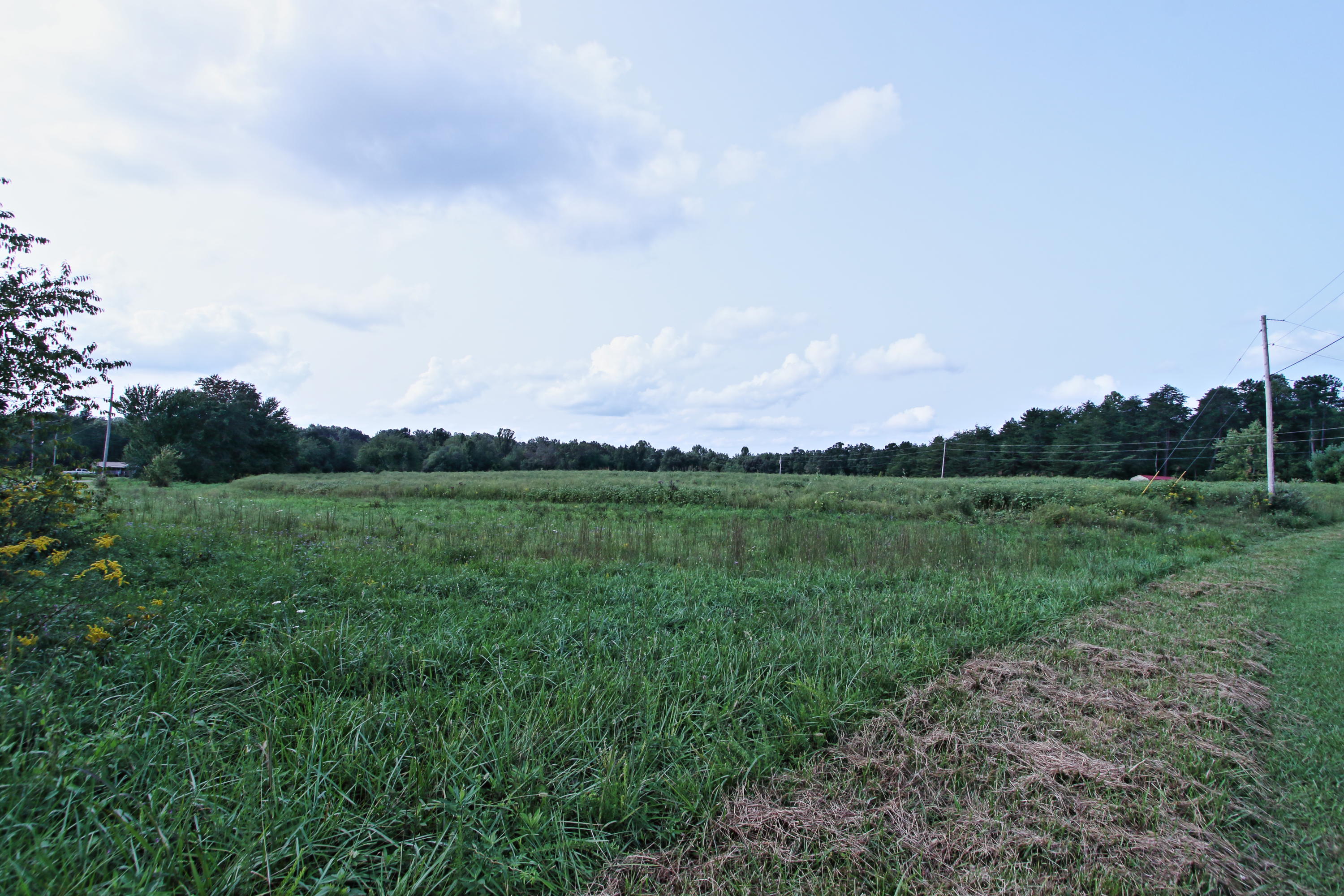 Lot 44 Fritzsche Loop Jamestown, TN 38556 - Photo 1 of 5 Lot 44
