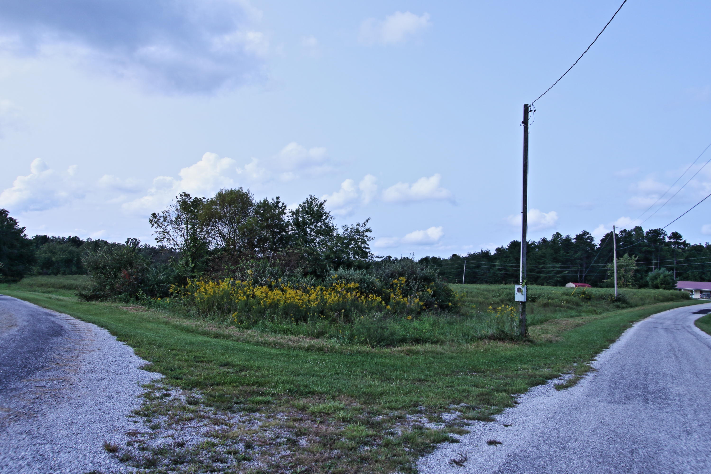 Lot 44 Fritzsche Loop Jamestown, TN 38556 - Photo 2 of 5 lot44a