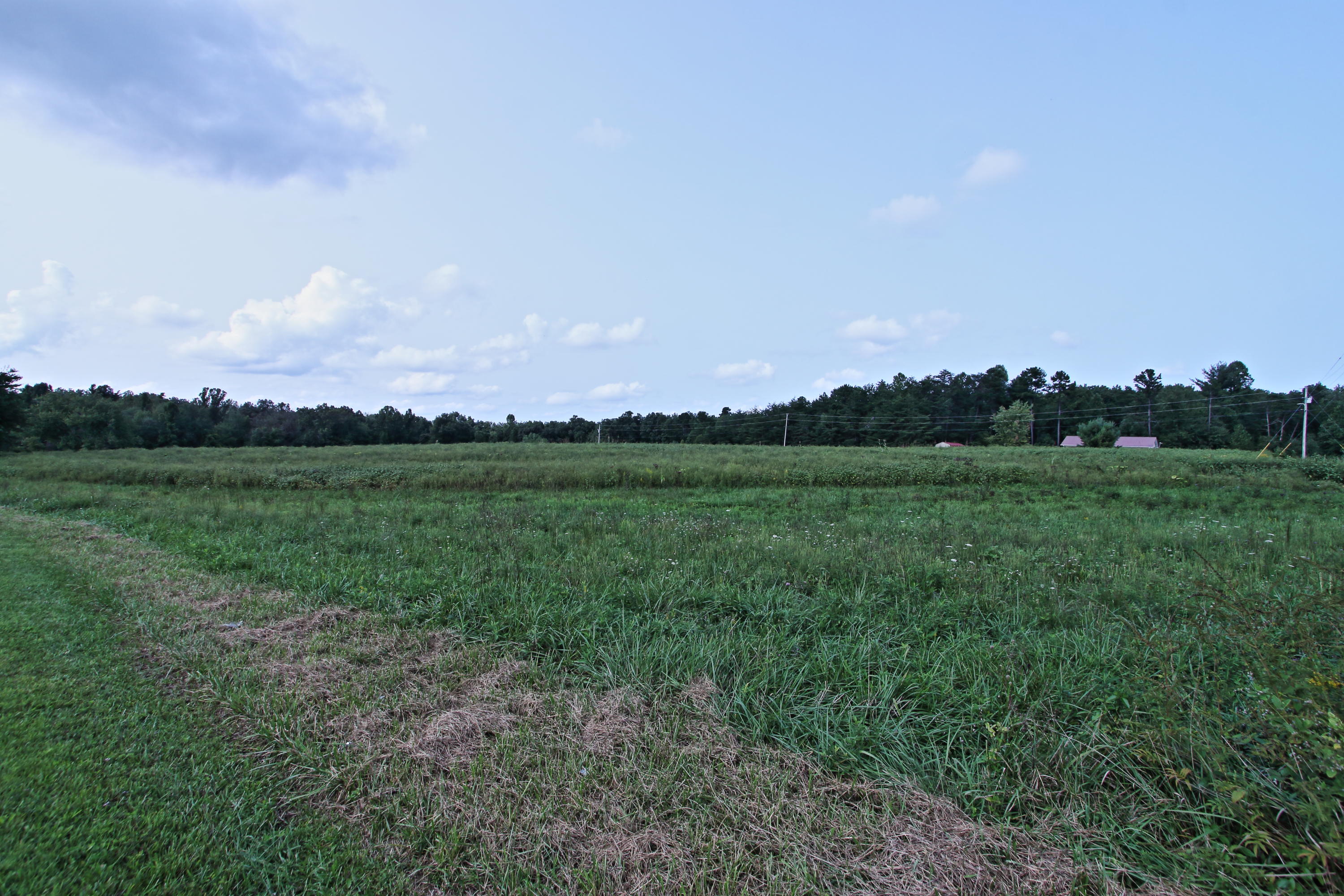 Lot 44 Fritzsche Loop Jamestown, TN 38556 - Photo 3 of 5 Lot44b