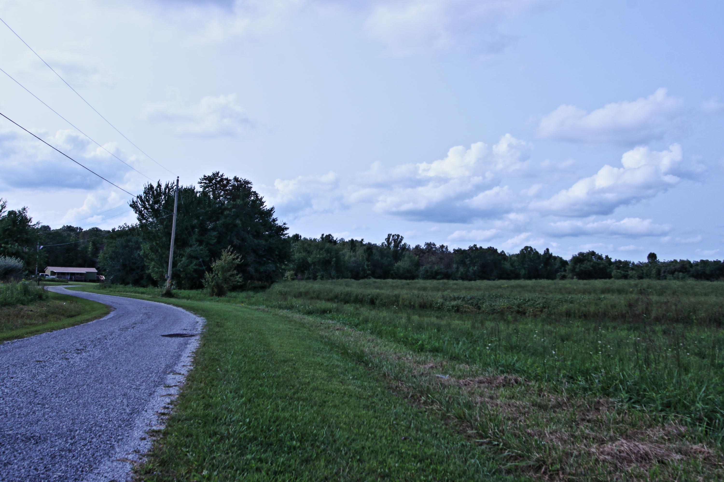 Lot 44 Fritzsche Loop Jamestown, TN 38556 - Photo 4 of 5 lot44c
