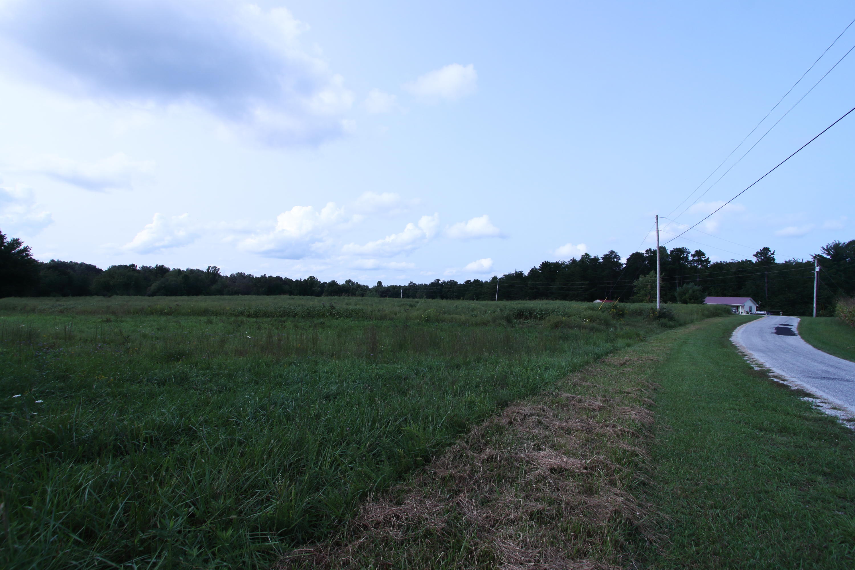 Lot 44 Fritzsche Loop Jamestown, TN 38556 - Photo 5 of 5 lot44d