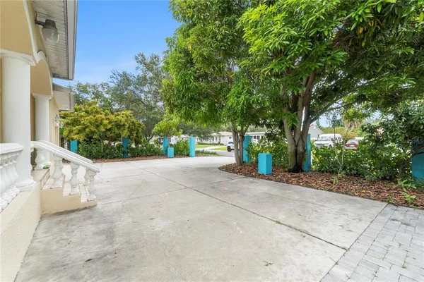 a view of a yard with plants and trees