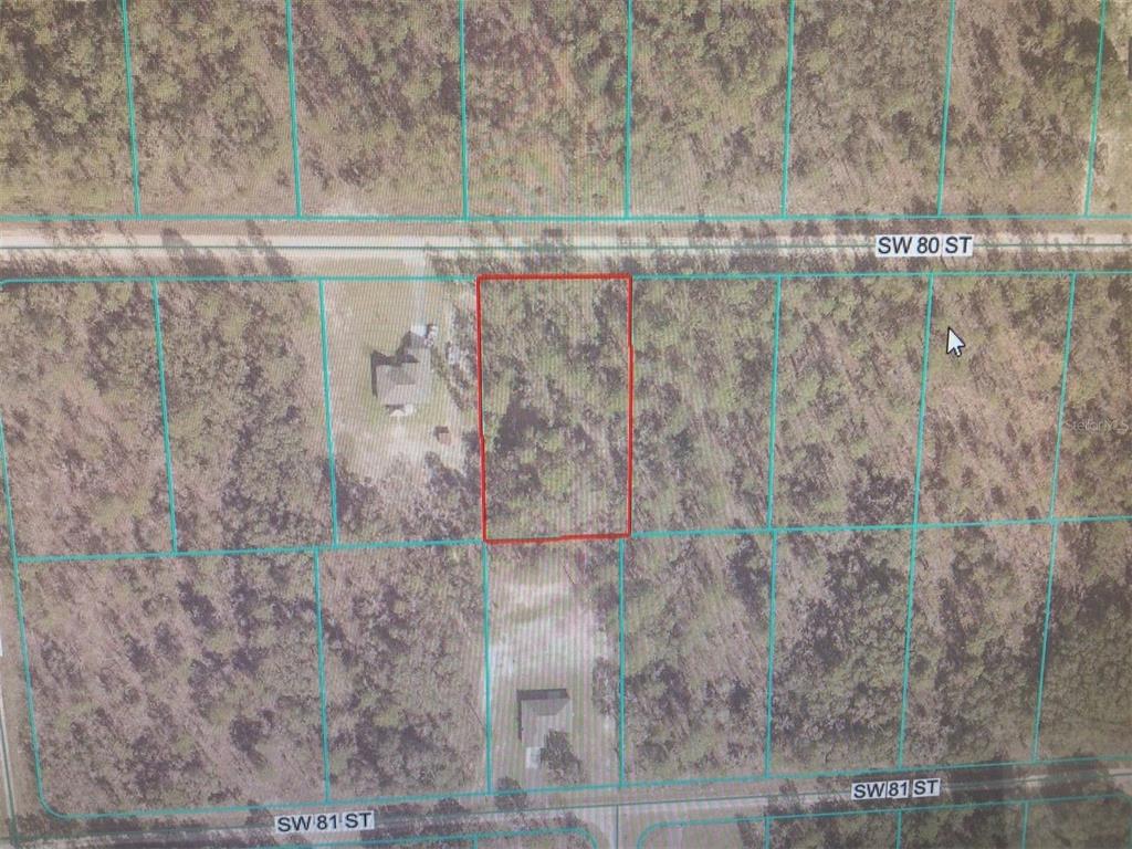 0 Southwest 80th Street Dunnellon, FL 34432 - Photo 3 of 5