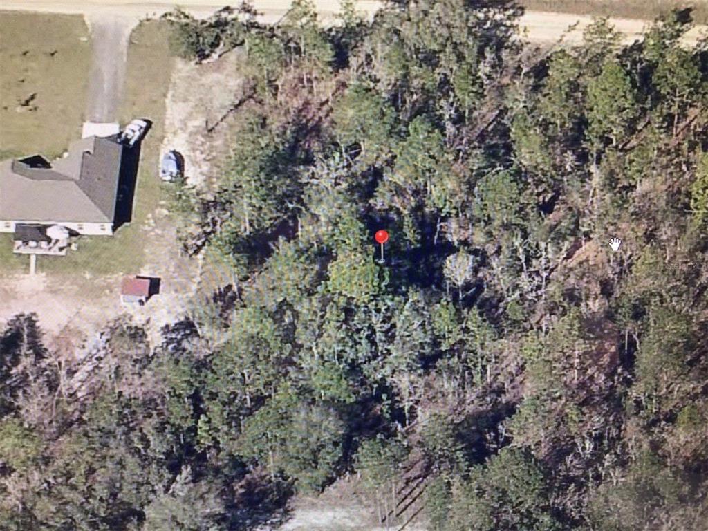 0 Southwest 80th Street Dunnellon, FL 34432 - Photo 5 of 5 a view of outdoor space and covered with trees