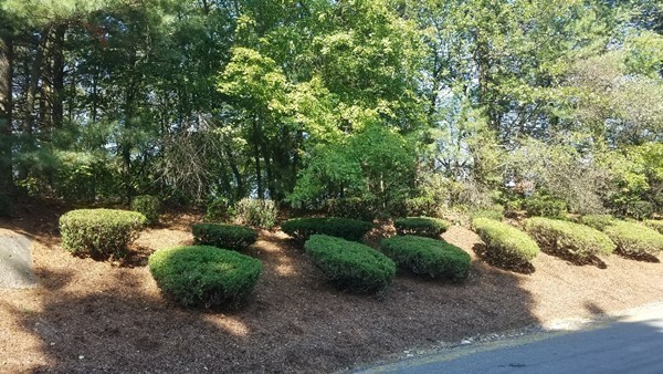 5 Trailside Way Ashland, MA 01721 - Photo 4 of 18 Gallery Image 4