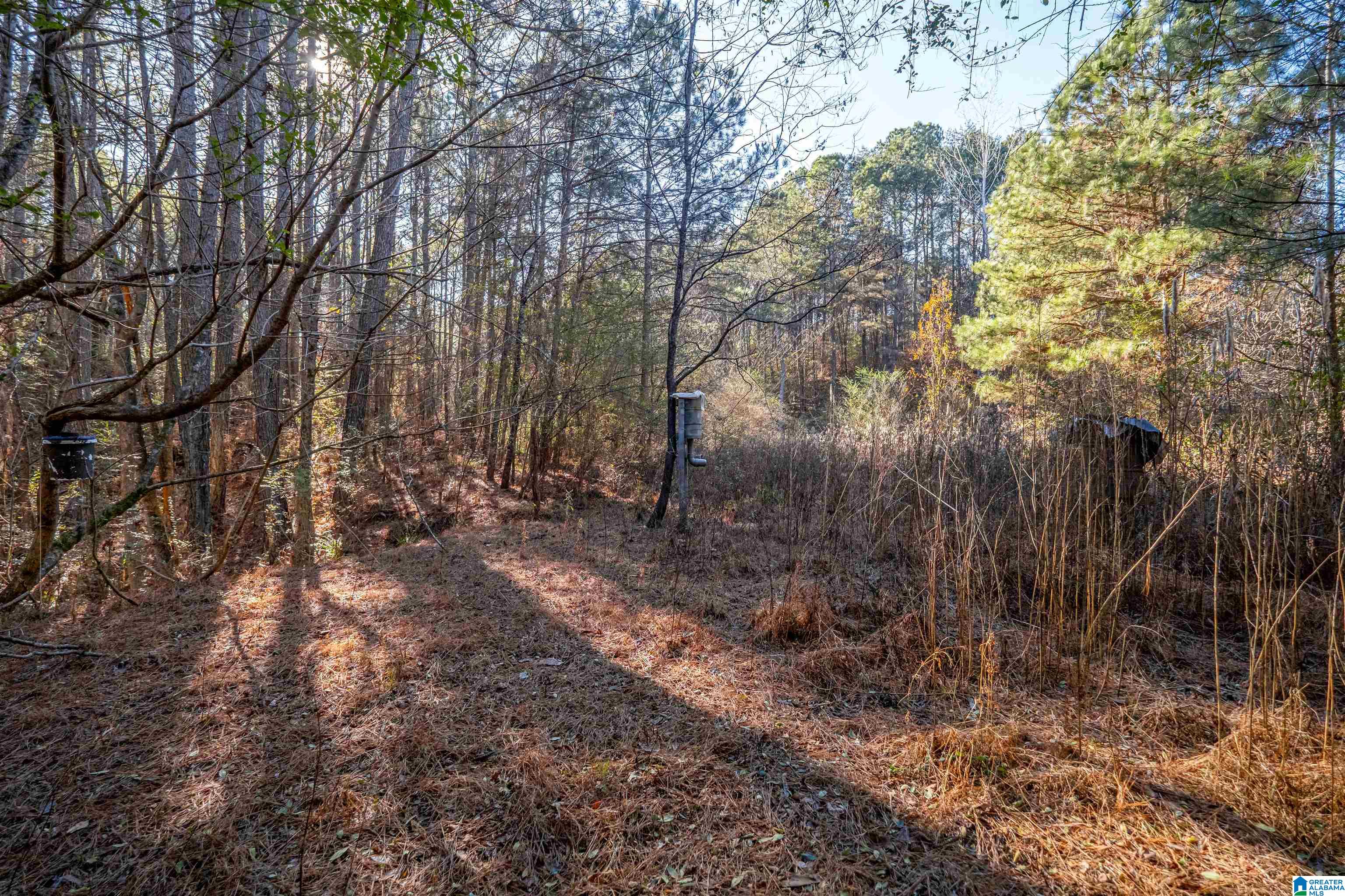 2040 Brookside Road, Unit 1 Mount Olive, AL 35117 - Photo 6 of 29