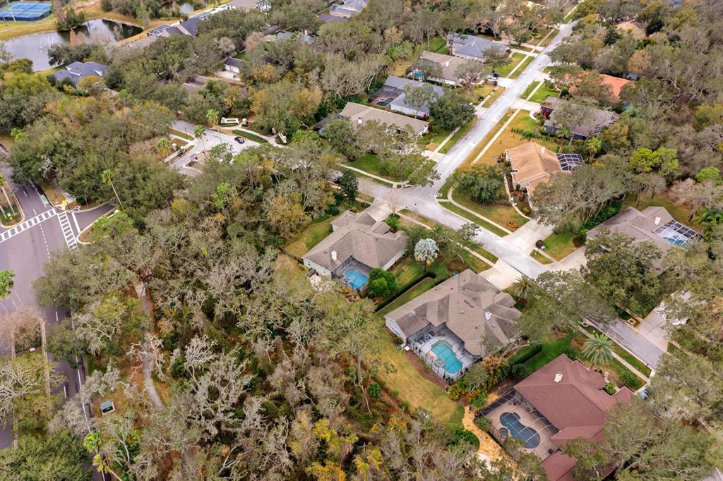 5614 Eagleglen Place Lithia, FL 33547 - Photo 33 of 35 an aerial view of residential houses with outdoor space