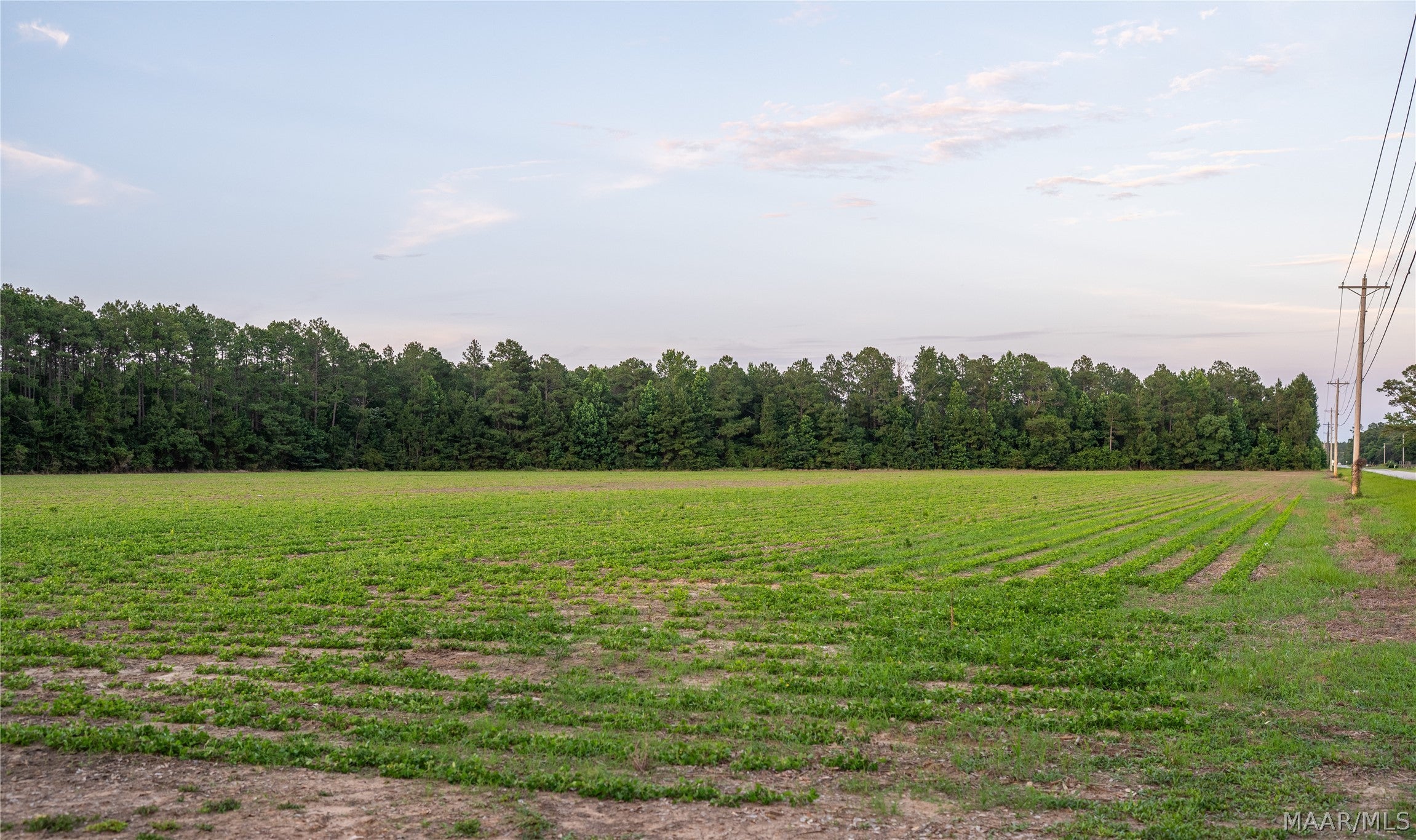 0 Pine Road South Stapleton, AL 36578 - Photo 27 of 53 Gallery Image 27