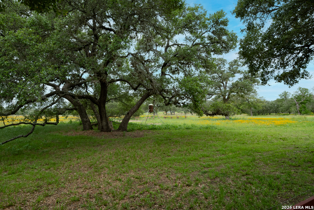104 Longhorn Road Stockdale, TX 78160 - Photo 30 of 47 a view of field with trees