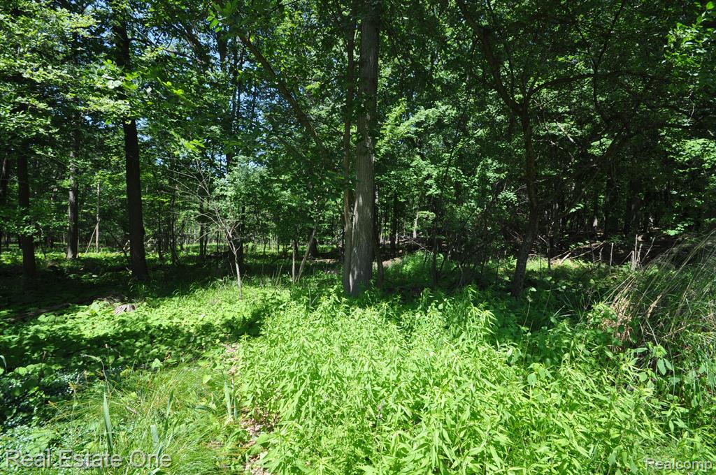 2185 Clinton View Circle Rochester Hills, MI 48309 - Photo 35 of 36