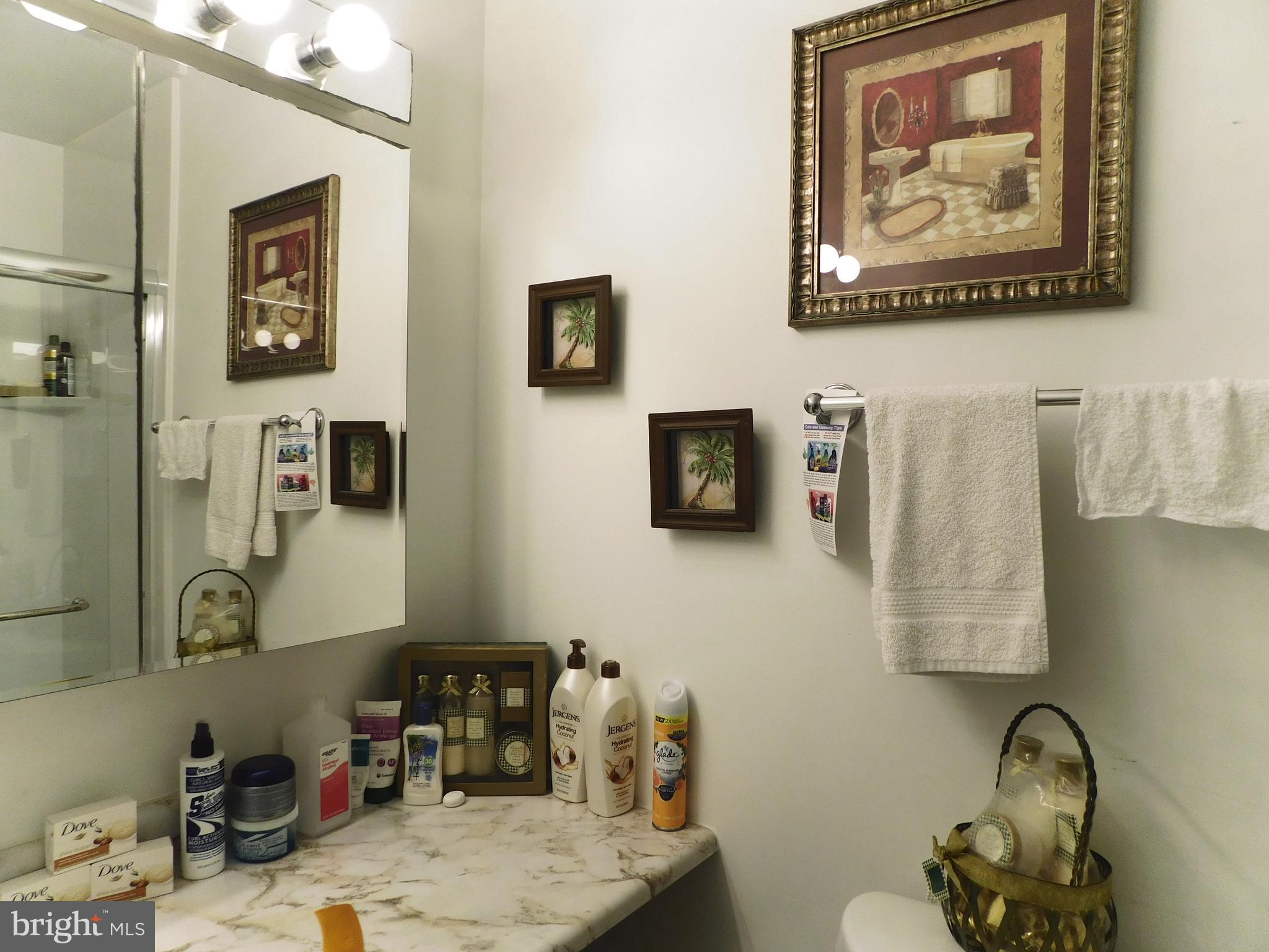 303 Timber Creek Road Lindenwold, NJ 08021 - Photo 12 of 19 hall bathroom