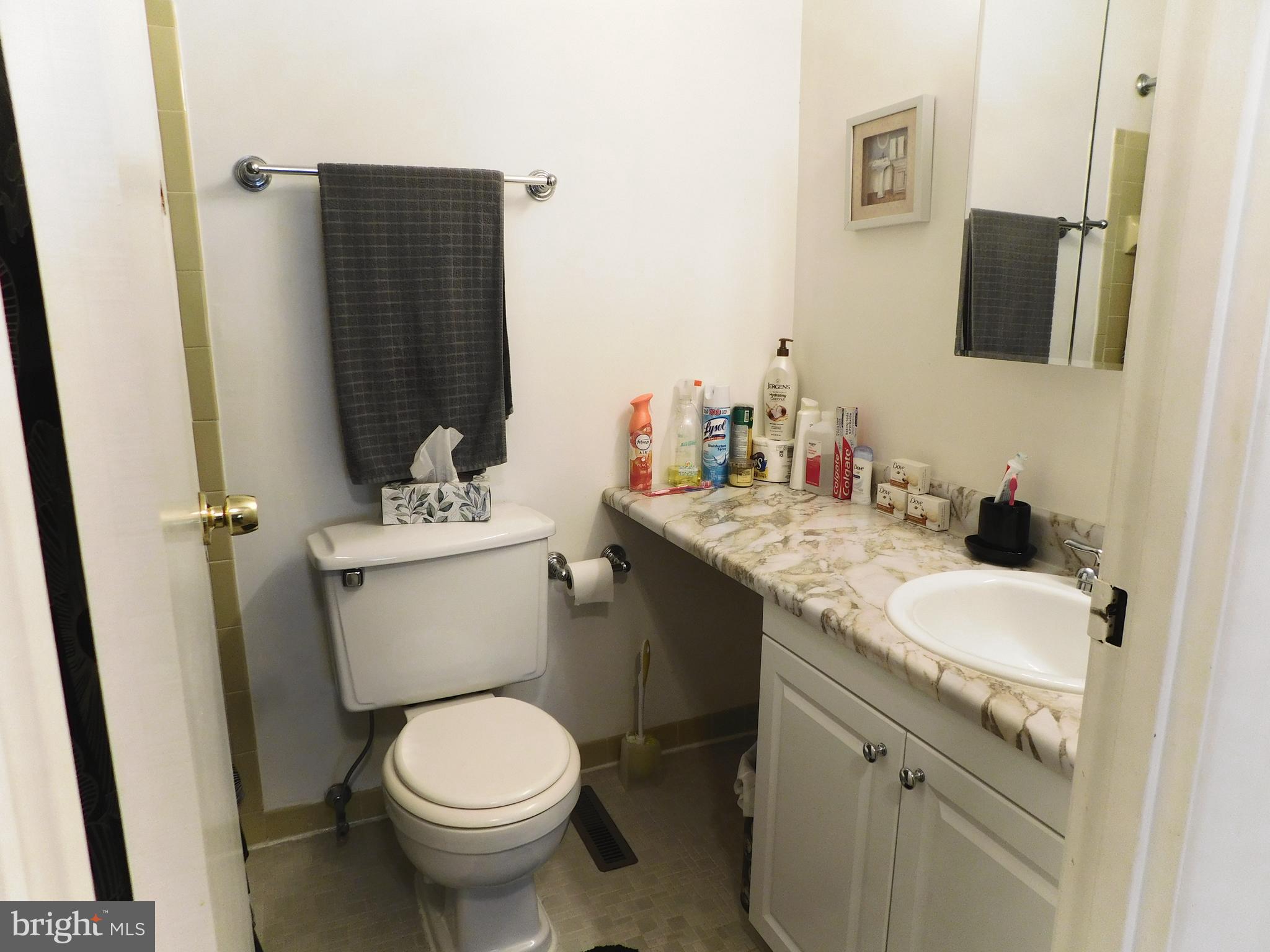 303 Timber Creek Road Lindenwold, NJ 08021 - Photo 17 of 19 master bathroom