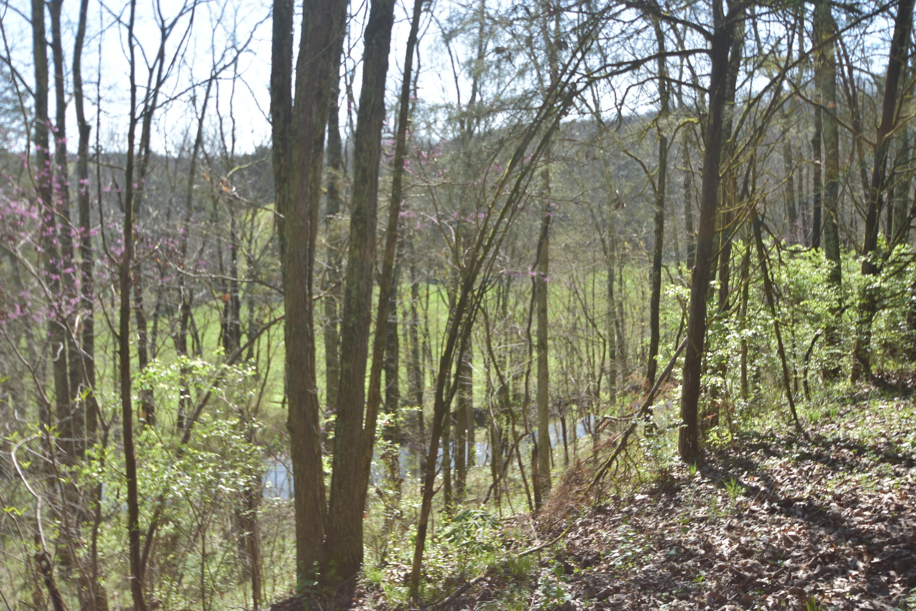 671 Fairview Road, Unit 3 Salvisa, KY 40372 - Photo 10 of 26 DSC_0308