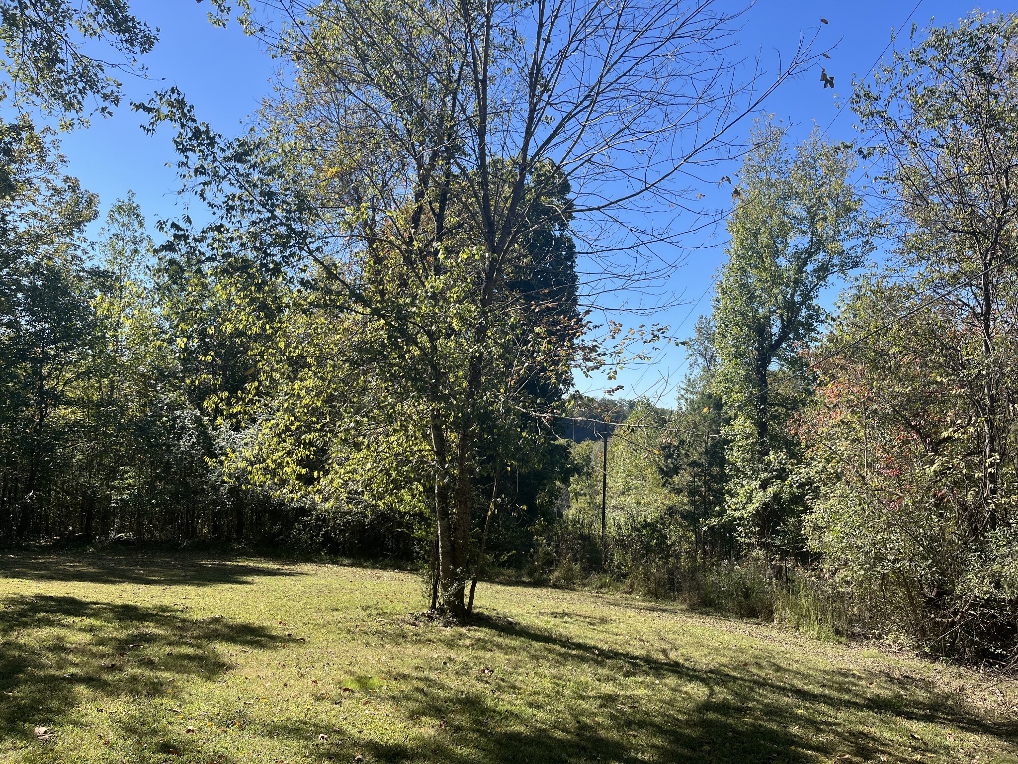 1125 Macon Wall Road Ashland City, TN 37015 - Photo 22 of 25 a view of a tree with a yard